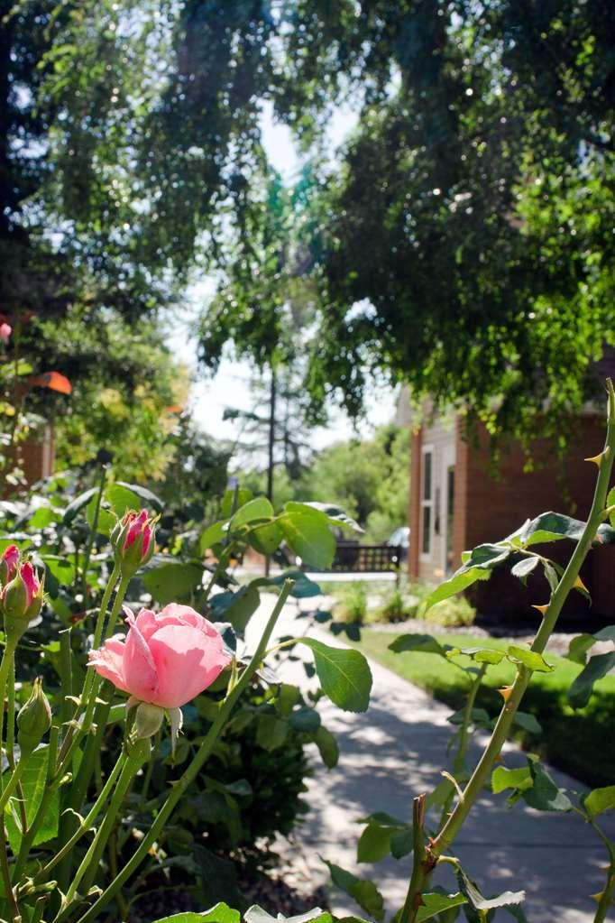 Sonesta Es Suites Fresno Létesítmények fotó